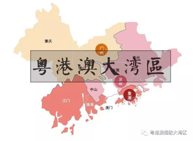 广东省粤苗APP：粤港澳大湾区苗木行业交易的新型平台