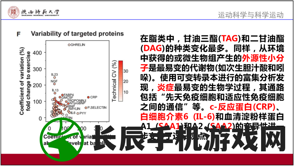 (大碗宽面随堂测评)掌趣科技新作大碗宽面：全新科技游戏体验震撼发布